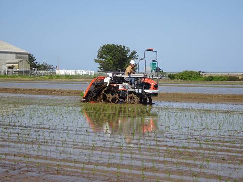実証試験の様子
