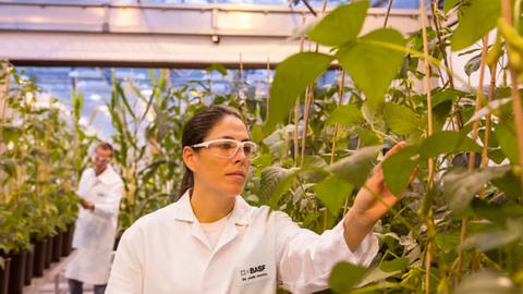 BASF、農業の変革を加速させる統合型ソリューションでイノベーション パイプラインを強化