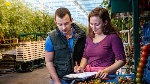 BASFの新規殺虫剤有効成分のAxalion®、新しい作用機構に分類